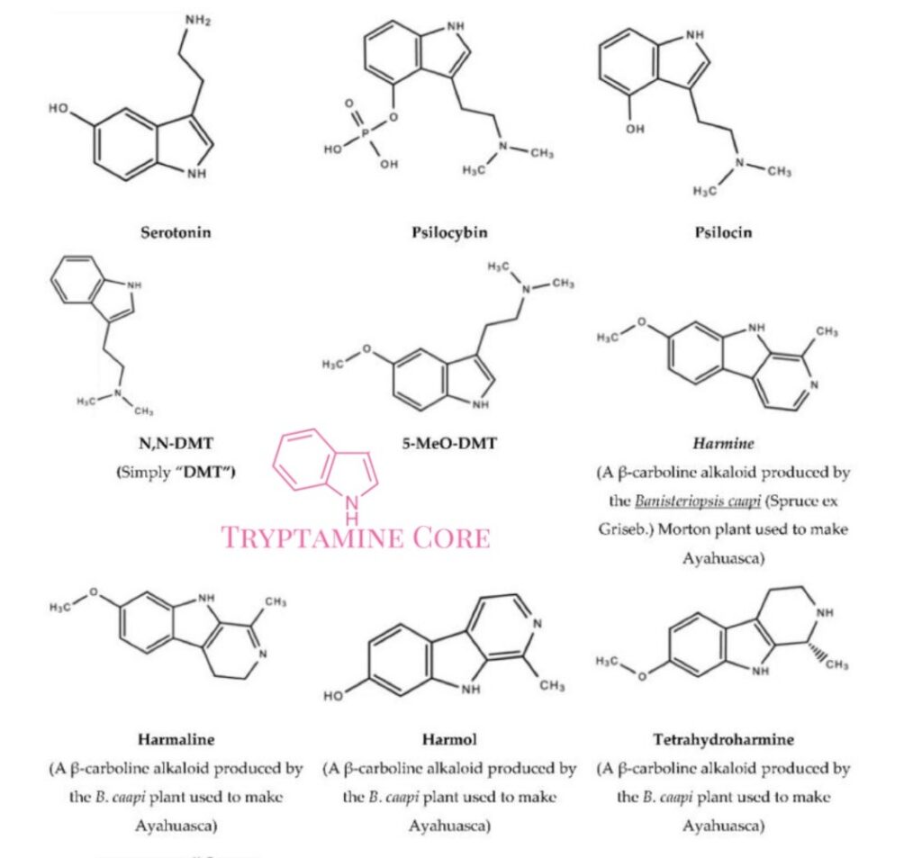 What is Dimethyltryptamine? | The Quantum Soul | Plant Medicine ...